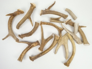 Deer Antler Scrap (lb) 