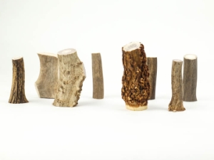 Deer Antler Piece: 2.5" x 5/8"-3/4" (lb) 
