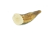 Drilled Deer Antler Tip: 6"+ - 158-XXL-D (Y1XC02)