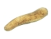 Drilled Deer Antler Tip: 6"+ - 158-XXL-D (Y1XC02)