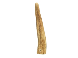 Drilled Deer Antler Tip: 6"+ 