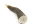 Deer Antler Tip: 6"+ - 158-XXL-U (Y1XC13)