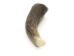 Deer Antler Tip: 6"+ - 158-XXL-U (Y1XC13)