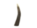 Deer Antler Tip: 6"+ - 158-XXL-U (Y1XC13)