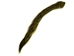 Dyed Squirrel Tail: Yellow - 162-006