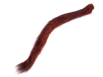 Dyed Squirrel Tail: Orange 