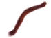 Dyed Squirrel Tail: Orange - 162-012 (Y1MC07)