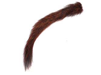 Dyed Squirrel Tail: Rusty Brown 
