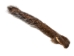 Natural American Gray Squirrel Tail - 162-219 (Y1MC06)