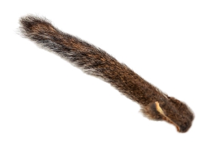 Natural American Gray Squirrel Tail 
