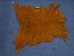 5-5.5 oz Tannery Run Moose Leather: Prairie Gold (sq ft) - 164-TR-PG5 (Y1K)