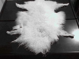 Tibet Lamb Skin: Bleached White 