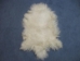 Tibet Lamb Skin: Natural White - 167-S-A050 (Y1I)(Y2G)