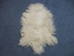 Tibet Lamb Skin: Natural White - 167-S-A050 (Y1I)