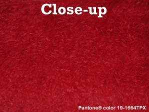 Dyed Tibet Lamb Plate: Red 