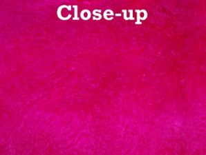 Dyed Tibet Lamb Plate: Fuchsia/Pink 