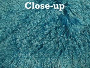 Dyed Tibet Lamb Plate: Turquoise 