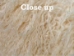Tibet Lamb Plate: Natural White (Brightened) - 167-A050 (Y2GRM)