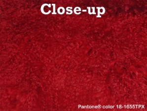 Dyed Tibet Lamb Plate: Cardinal Red 