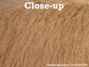 Dyed Tibet Lamb Plate: Blonde 