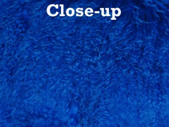 Dyed Tibet Lamb Plate: Royal Blue 