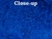 Dyed Tibet Lamb Plate: Royal Blue - 167-A070 (Y2GRN)