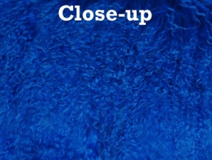 Dyed Tibet Lamb Plate: Royal Blue 