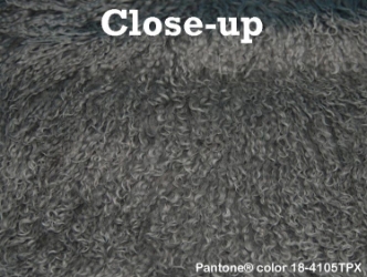 Dyed Tibet Lamb Plate: Gunmetal gun metal