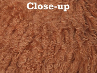 Dyed Tibet Lamb Plate: Sandy Brown 