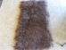 Dyed Tibet Lamb Plate: Chocolate Brown - 167-A080 (Y2G)