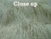 Dyed Tibet Lamb Plate: Blonde Ambition - 167-A081 (Y1HRK)