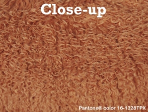 Dyed Tibet Lamb Plate: Pale Rust 