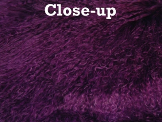 Dyed Tibet Lamb Plate: Violet/Purple 