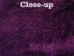 Dyed Tibet Lamb Plate: Violet/Purple - 167-A095 (Y1JRJ)