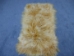 Dyed Tibet Lamb Plate: Mustard Tipped with White - 167-B010 (Y2GRK)