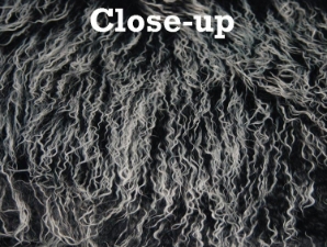 Dyed Tibet Lamb Plate: Black Tipped With White 