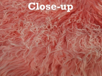 Dyed Tibet Lamb Plate: Pink Snowtop 
