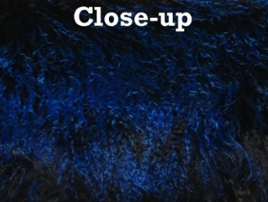 Dyed Tibet Lamb Plate: Black with Blue Tips 