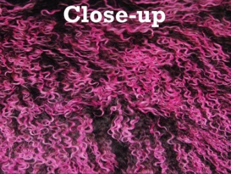 Dyed Tibet Lamb Plate: Dark Brown with Hot Pink Tips 
