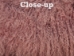 Dyed Tibet Lamb Plate: Ashes of Rose - 167-HQ1064 (Y1JRJ)