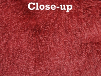Dyed Tibet Lamb Plate: Dark Rose 