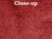Dyed Tibet Lamb Plate: Dark Rose - 167-HQ1077 (Y1JRE)