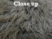 Dyed Tibet Lamb Plate: Medium Gray - 167-HQ1084 (Y2GRK)