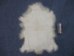 Short-Hair Tibet Lamb Skin: Natural White - 169-S-A050 (Y1FRI)