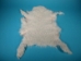 Short-Hair Tibet Lamb Skin: Natural White - 169-S-A050 (Y1FRI)
