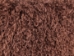 Short-Hair Tibet Lamb Skin: Chocolate Brown - 169-S-A080 (Y1FRJ)