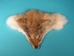 Coyote Face Mask - 17-MASK-05 (Y2JC07)
