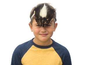 Skunk Face Mask skunk face masks, skunk halloween masks, skunk face halloween masks