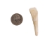 Drilled Water Buffalo Tooth: Natural - 174-100 (Y1MC16)