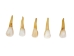 North American Buffalo (Bison) Tooth - 174-150 (Y2DC01)
